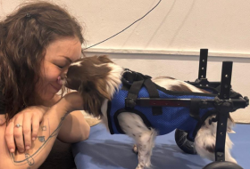 project